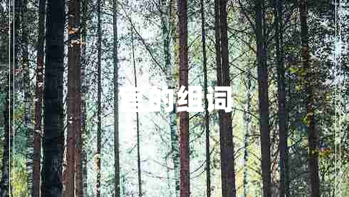 官的組詞