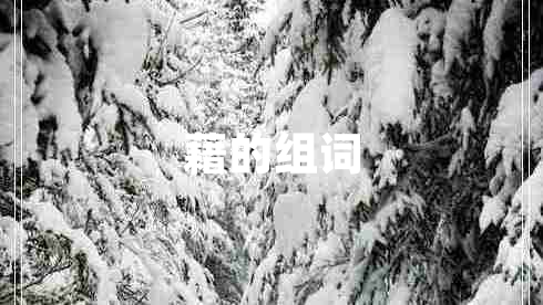 藉的組詞