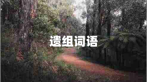 遺組詞語(yǔ)