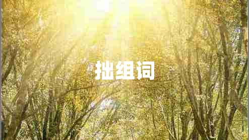 拙組詞