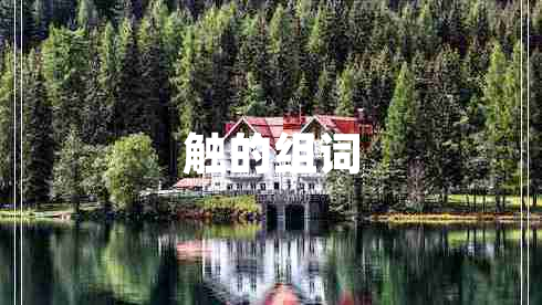 觸的組詞