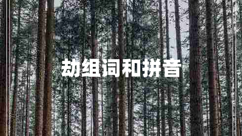 劫組詞和拼音