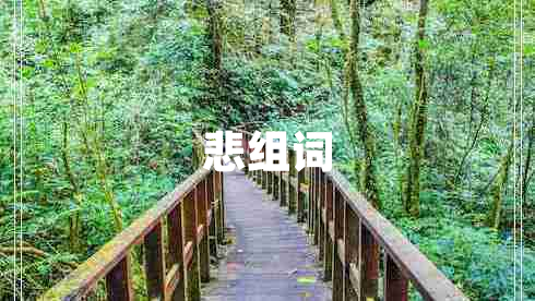 悲組詞