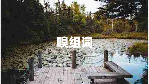 嗅組詞