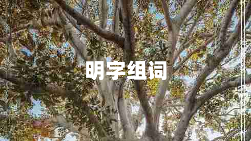 明字組詞