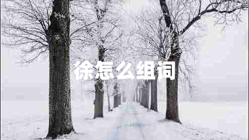 徐怎么組詞