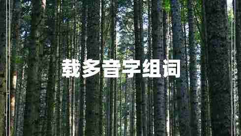 載多音字組詞