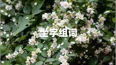 坐字組詞