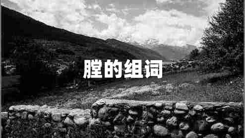 膛的組詞