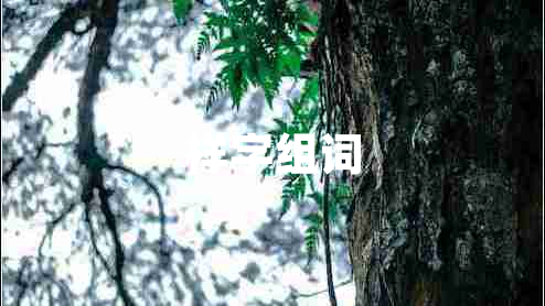 樣字組詞