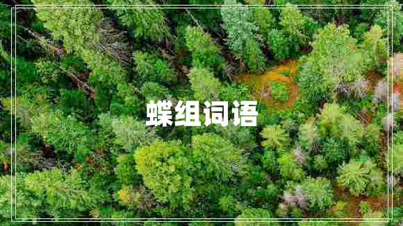 蝶組詞語(yǔ)