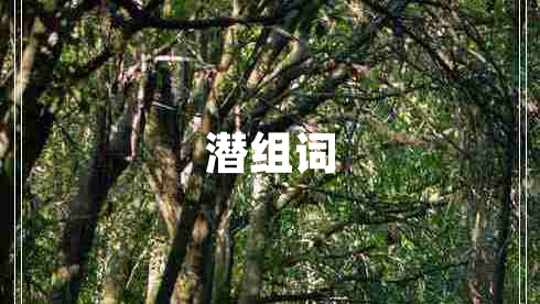 潛組詞