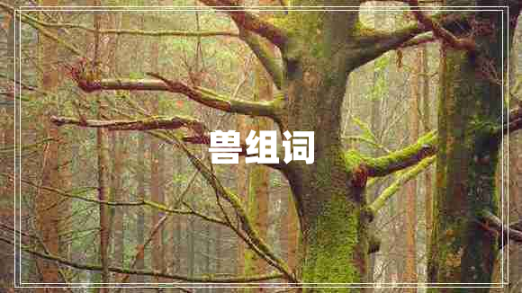 獸組詞