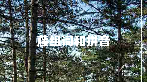 藤組詞和拼音