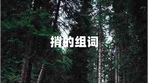 捎的組詞