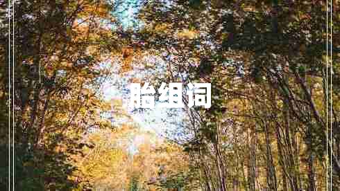 胎組詞