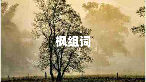楓組詞