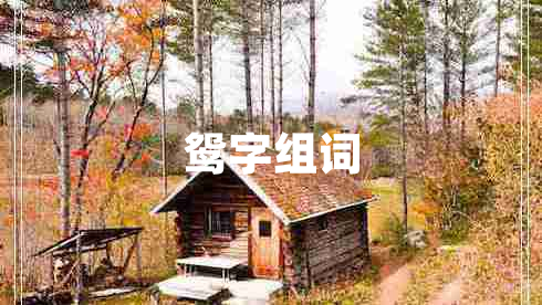 鴛字組詞