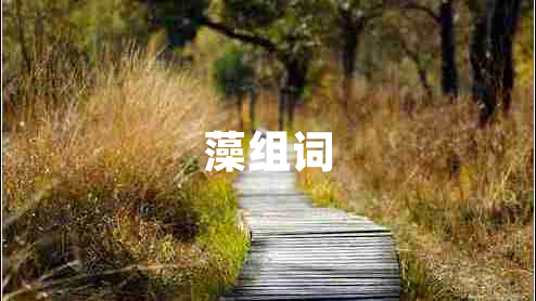 藻組詞