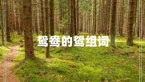 鴛鴦的鴛組詞