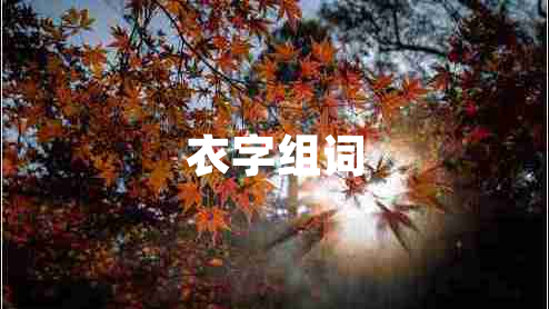 衣字組詞