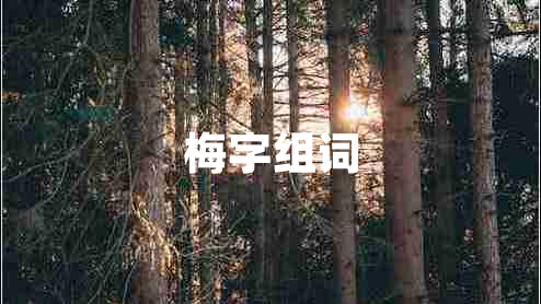 梅字組詞