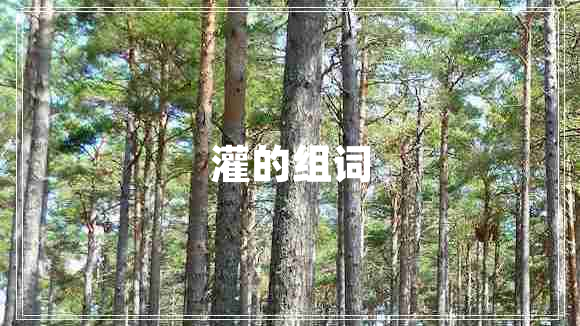 灌的組詞