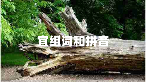宜組詞和拼音