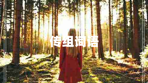 傳組詞語(yǔ)
