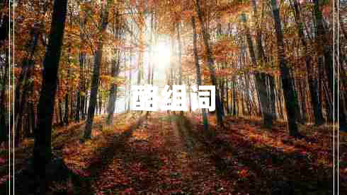 酪組詞