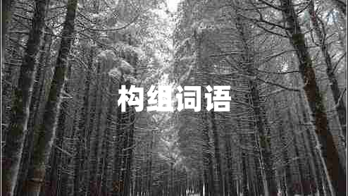 構組詞語(yǔ)