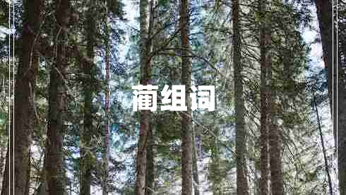 藺組詞