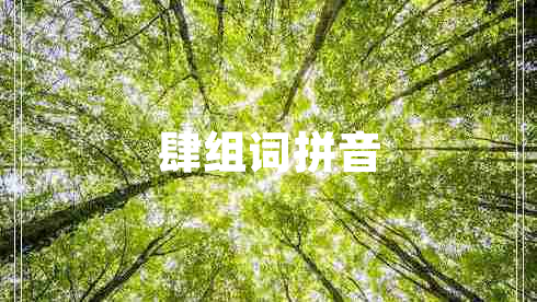 肆組詞拼音