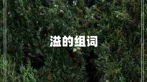 溢的組詞