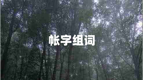 帳字組詞