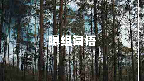 曝組詞語(yǔ)