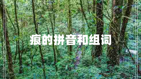 痕的拼音和組詞