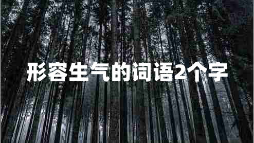 形容生氣的詞語(yǔ)2個(gè)字