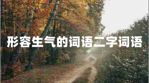 形容生氣的詞語(yǔ)二字詞語(yǔ)