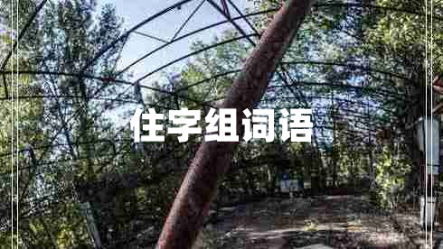 住字組詞語(yǔ)