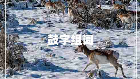 鼓字組詞