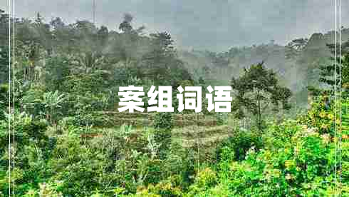 案組詞語(yǔ)