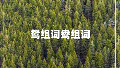 鴛組詞鴦組詞