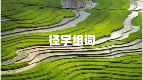 徑字組詞