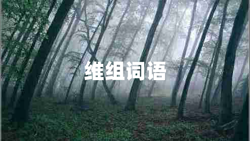 維組詞語(yǔ)