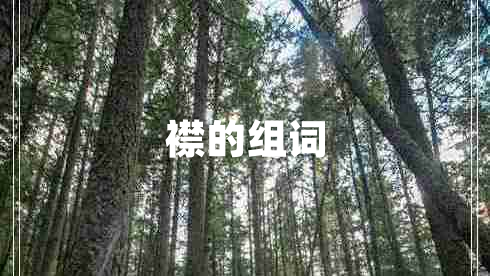 襟的組詞