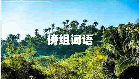 傍組詞語(yǔ)