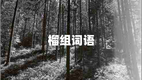 榴組詞語(yǔ)