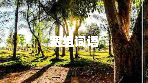 寬組詞語(yǔ)