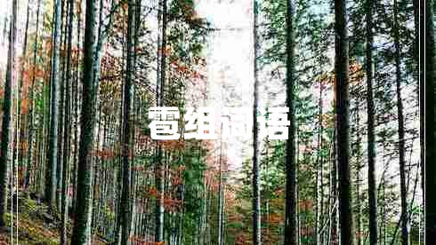 雹組詞語(yǔ)